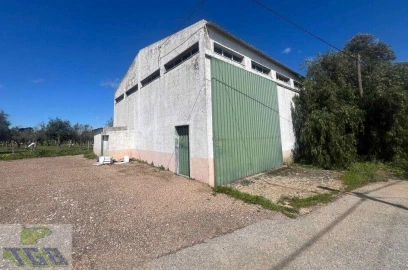 Quinta T4 para Venda em Borba (Matriz)