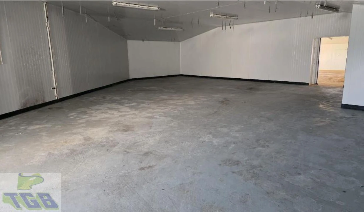 Armazém para Venda em Trancoso (São Pedro e Santa Maria) e Souto Maior Foto 3