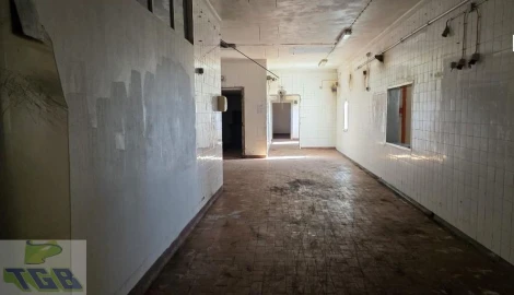 Armazém para Venda em Trancoso (São Pedro e Santa Maria) e Souto Maior