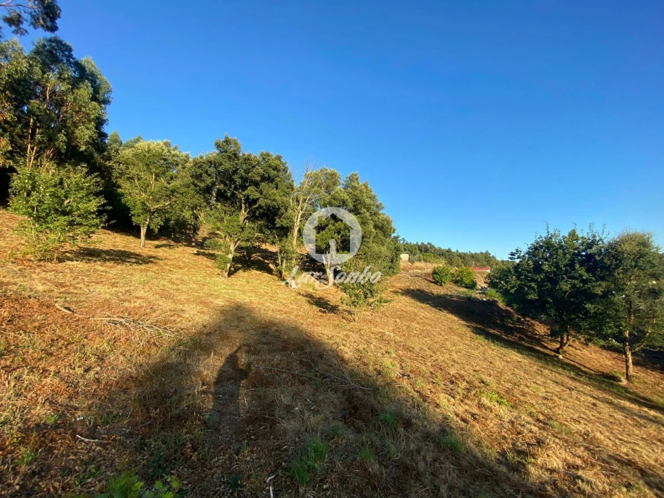 Terreno para Venda em Lustosa e Barrosas (Santo Estêvão) Foto 4