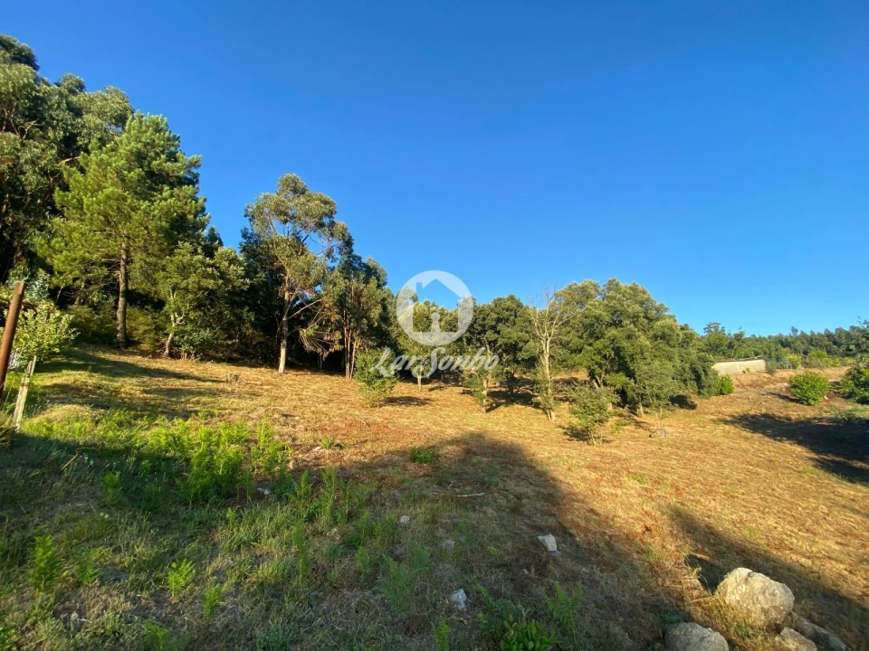 Terreno para Venda em Lustosa e Barrosas (Santo Estêvão) Foto 1