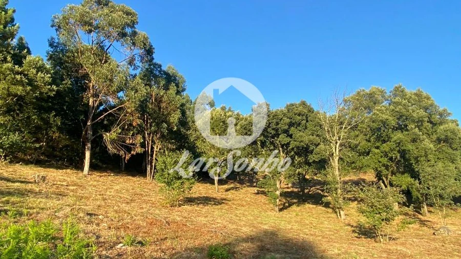 Terreno para Venda em Lustosa e Barrosas (Santo Estêvão)
