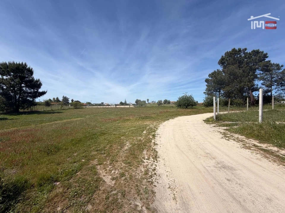 Terreno Agricola ou Rústico para Venda em Poceirão e Marateca Foto 9