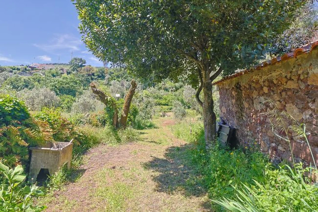 Moradia T2 para Venda em Pousaflores Foto 14