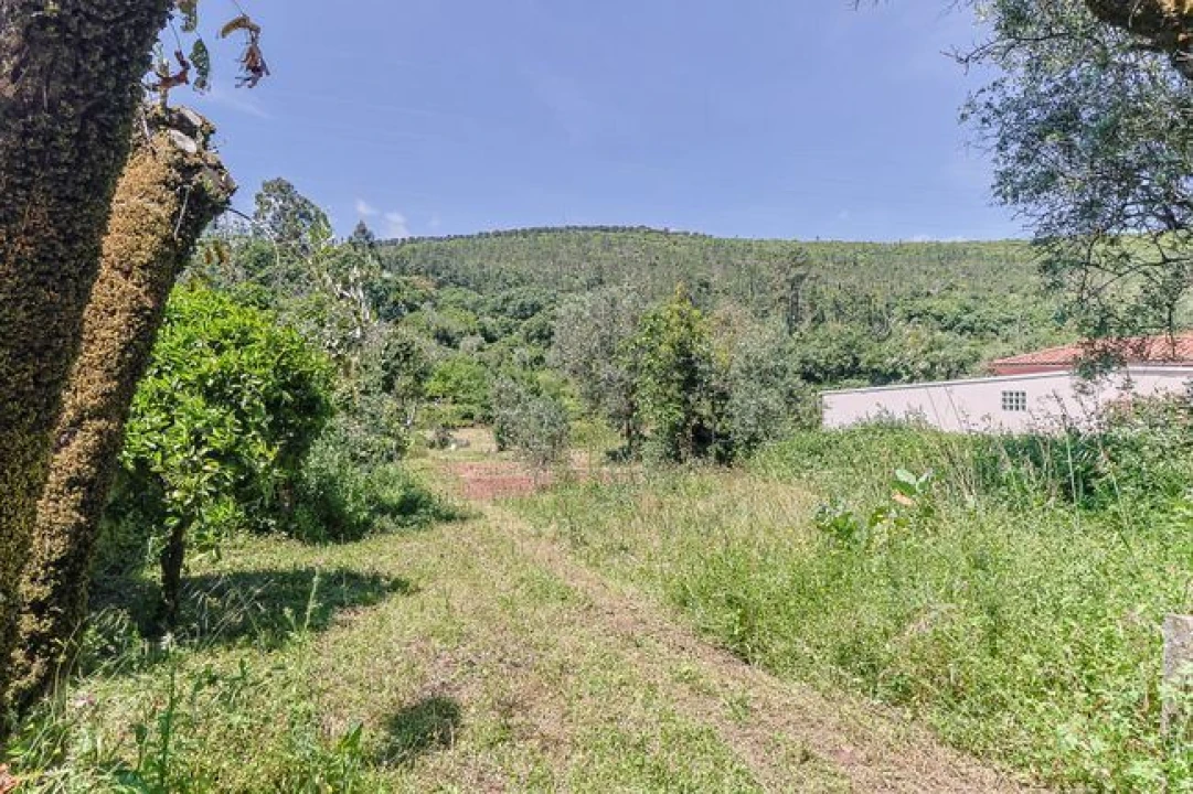 Moradia T2 para Venda em Pousaflores Foto 15