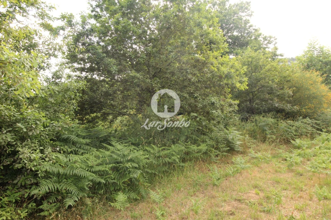 Terreno Agricola ou Rústico para Venda em Borba da Montanha Foto 4