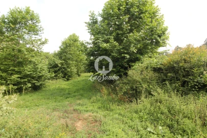 Terreno Agricola ou Rústico para Venda em Borba da Montanha