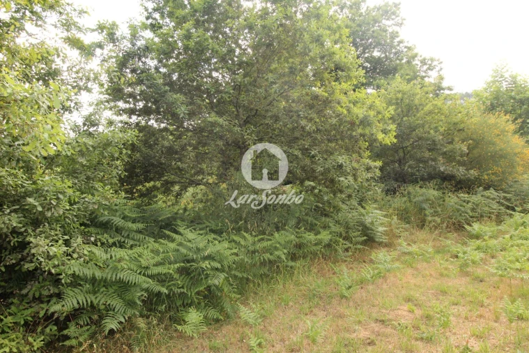 Terreno Agricola ou Rústico para Venda em Borba da Montanha Foto 4