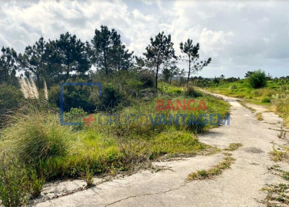 Terreno Misto para Venda em Queluz e Belas Foto 6