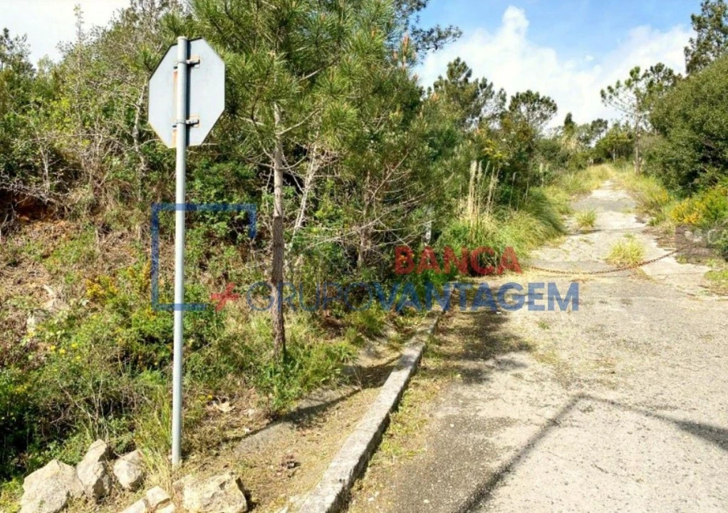 Terreno Misto para Venda em Queluz e Belas Foto 12