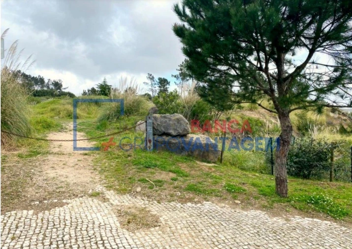Terreno Misto para Venda em Queluz e Belas Foto 8
