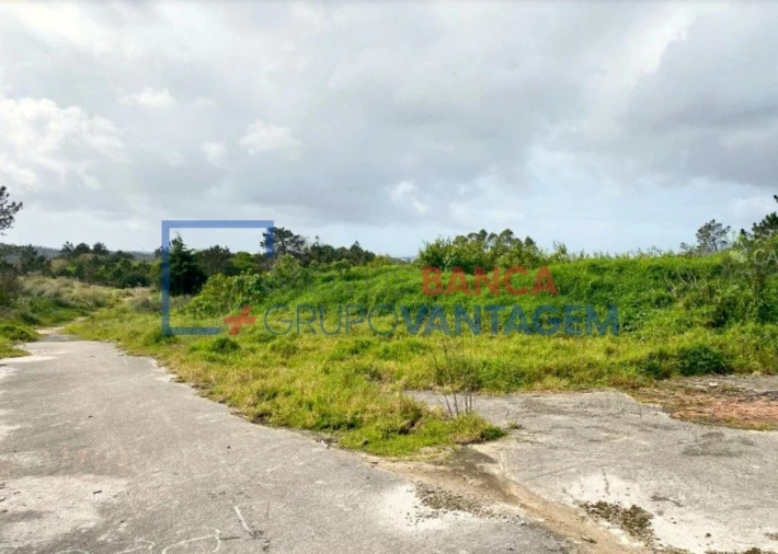 Terreno Misto para Venda em Queluz e Belas Foto 11