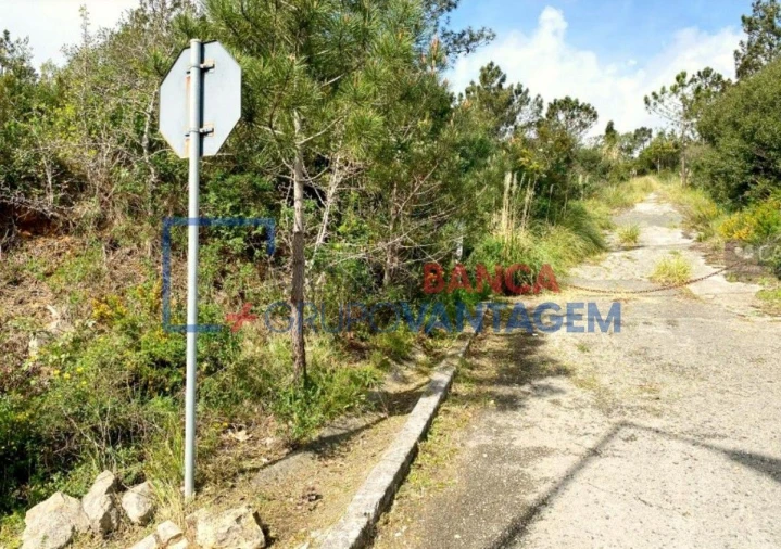 Terreno Misto para Venda em Queluz e Belas Foto 12