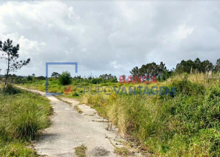 Terreno Misto para Venda em Queluz e Belas Foto 14