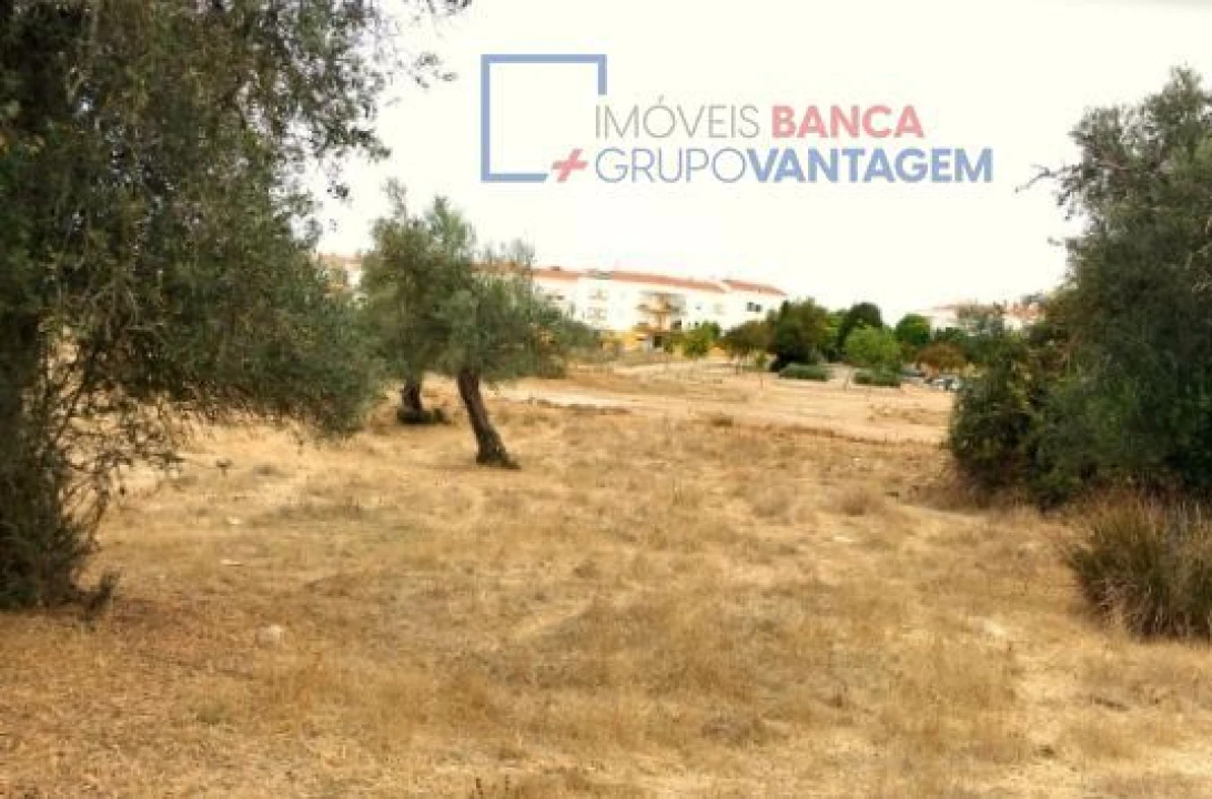 Terreno para Venda em Serpa (Salvador e Santa Maria) Foto 2