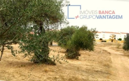 Terreno para Venda em Serpa (Salvador e Santa Maria)