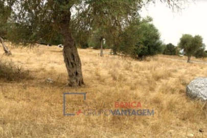 Terreno para Venda em Serpa (Salvador e Santa Maria)