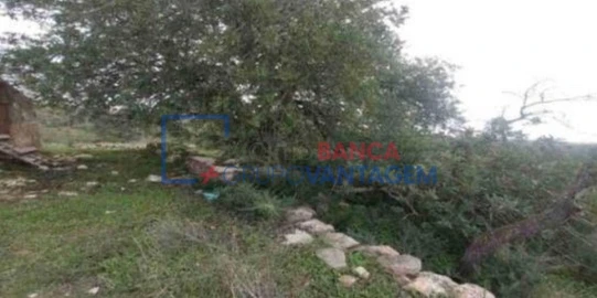 Terreno Misto para Venda em Albufeira e Olhos de Água