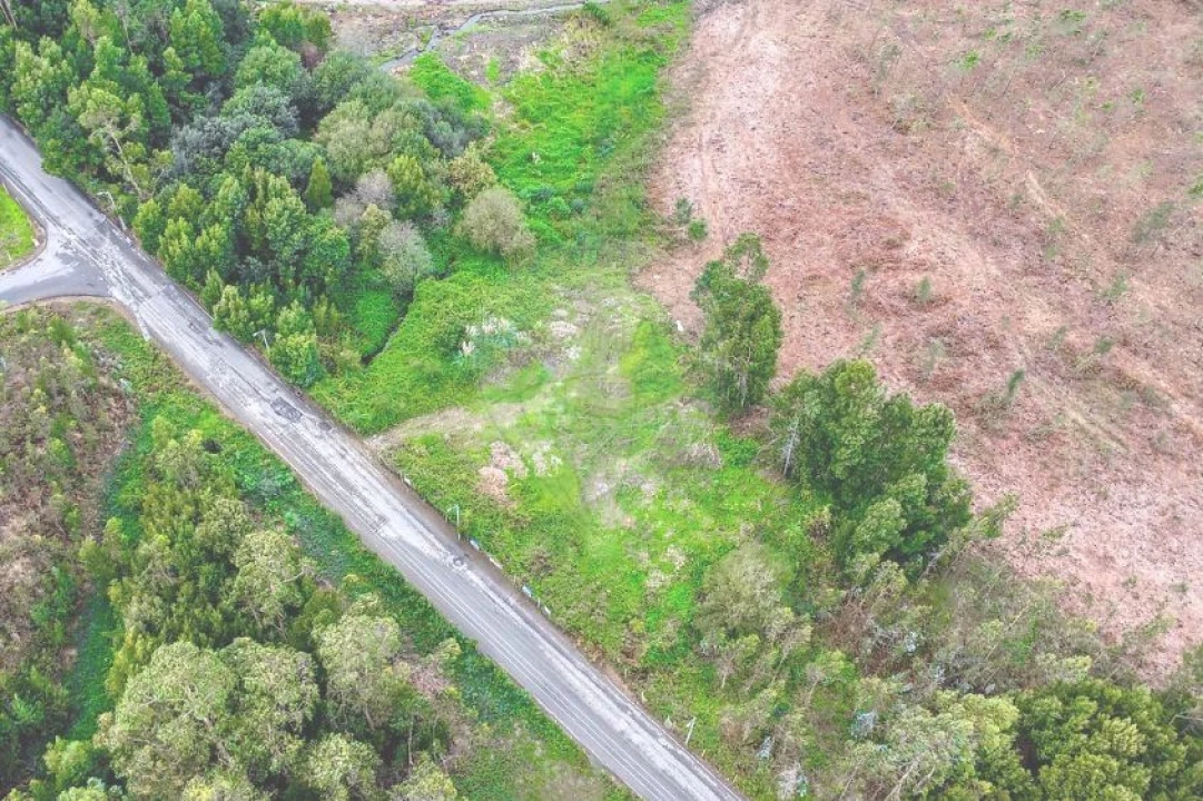 Terreno Agricola ou Rústico para Venda em Rio Meão Foto 13