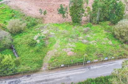Terreno Agricola ou Rústico para Venda em Rio Meão