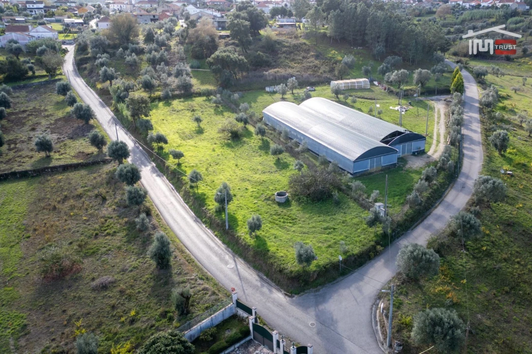 Terreno Agricola ou Rústico para Venda em Atouguia Foto 11