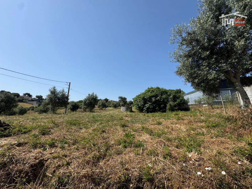 Terreno Agricola ou Rústico para Venda em Atouguia Foto 3