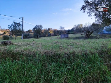 Terreno Agricola ou Rústico para Venda em Atouguia
