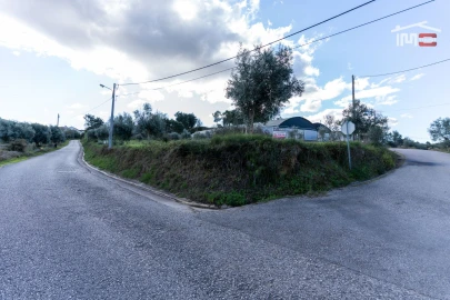 Terreno Agricola ou Rústico para Venda em Atouguia