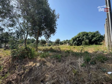 Terreno Agricola ou Rústico para Venda em Atouguia