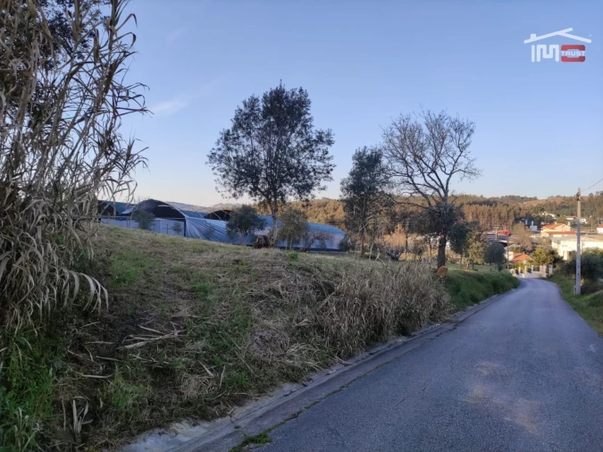 Terreno Agricola ou Rústico para Venda em Atouguia Foto 9