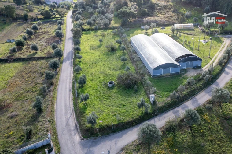 Terreno Agricola ou Rústico para Venda em Atouguia Foto 6