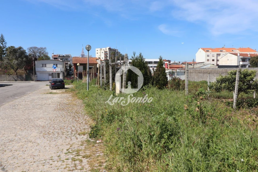 Terreno para Venda em Santa Maria de Lamas Foto 7