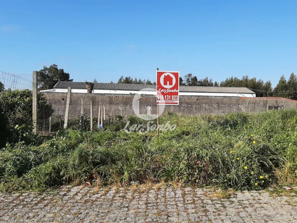 Terreno para Venda em Santa Maria de Lamas Foto 4