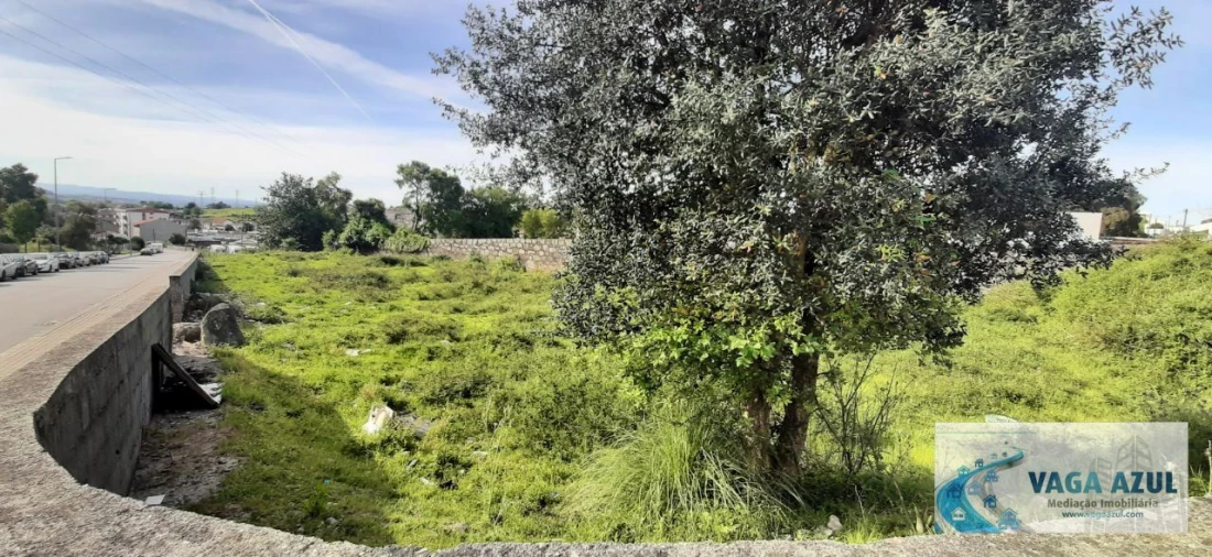 Terreno Agricola ou Rústico para Venda em Rio Tinto