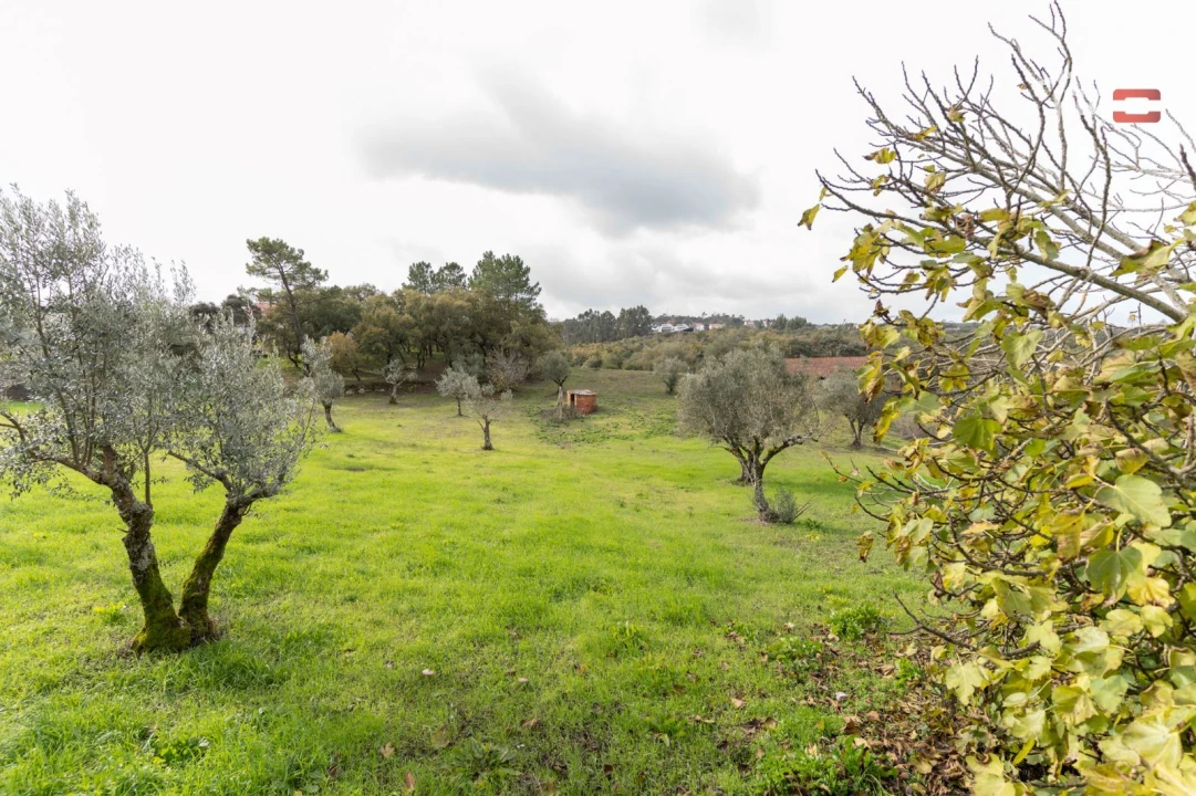 Moradia T0 para Venda em Atouguia Foto 8