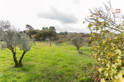 Moradia T0 para Venda em Atouguia