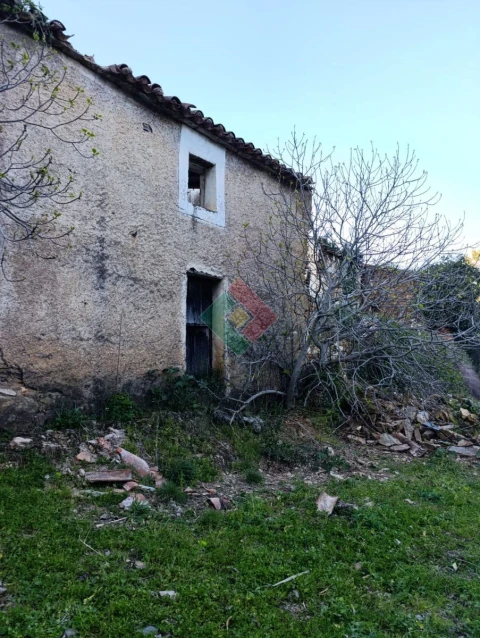 Quinta T1 para Venda em Reguengo e São Julião