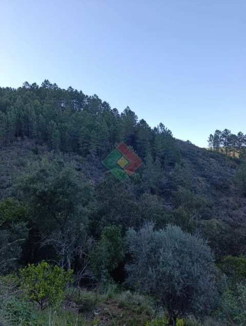 Quinta T1 para Venda em Reguengo e São Julião