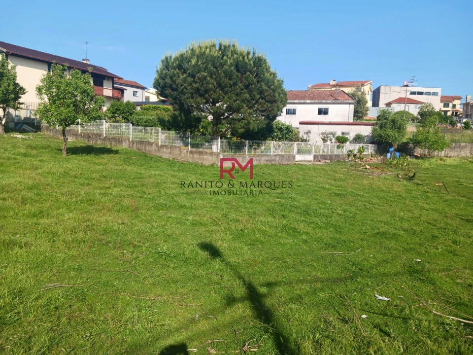 Terreno P/ Prédio para Venda em Campo e Sobrado Foto 3