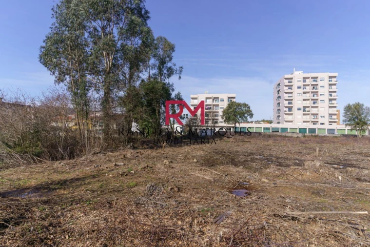 Terreno P/ Prédio para Venda em Valongo Foto 4