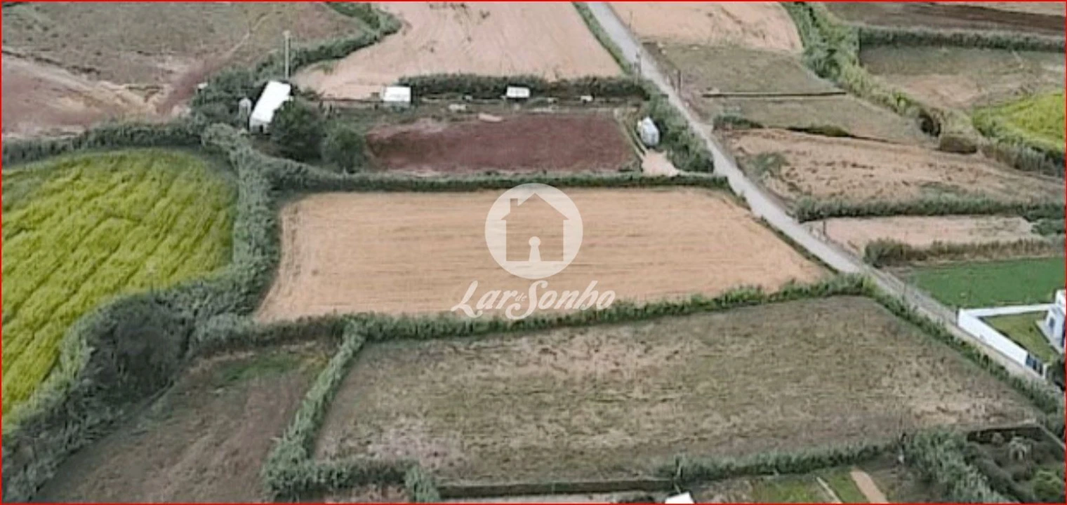 Terreno para Venda em Ginetes Foto 5