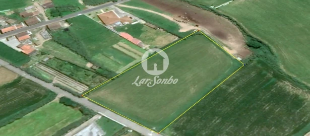 Terreno para Venda em Ginetes