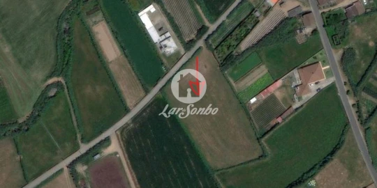 Terreno para Venda em Ginetes