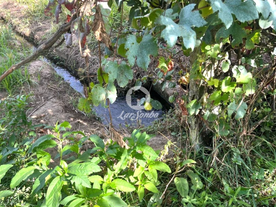 Terreno Agricola ou Rústico para Venda em Abade de Neiva Foto 11
