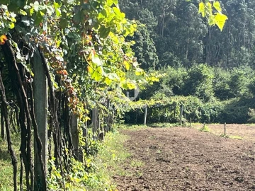 Terreno Agricola ou Rústico para Venda em Abade de Neiva