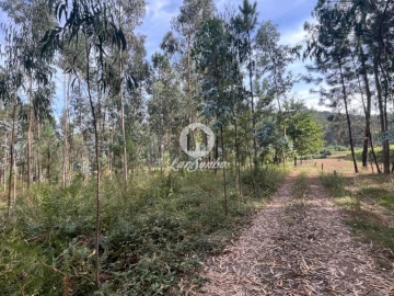 Terreno Agricola ou Rústico para Venda em Abade de Neiva