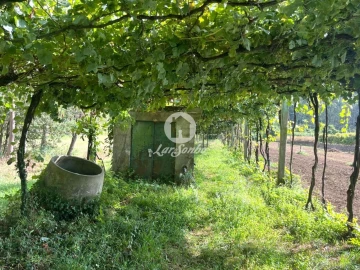 Terreno Agricola ou Rústico para Venda em Abade de Neiva