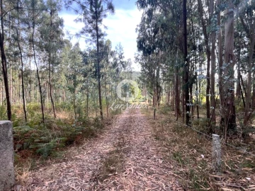 Terreno Agricola ou Rústico para Venda em Abade de Neiva