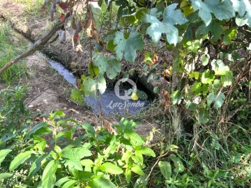 Terreno Agricola ou Rústico para Venda em Abade de Neiva