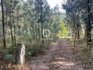 Terreno Agricola ou Rústico para Venda em Abade de Neiva